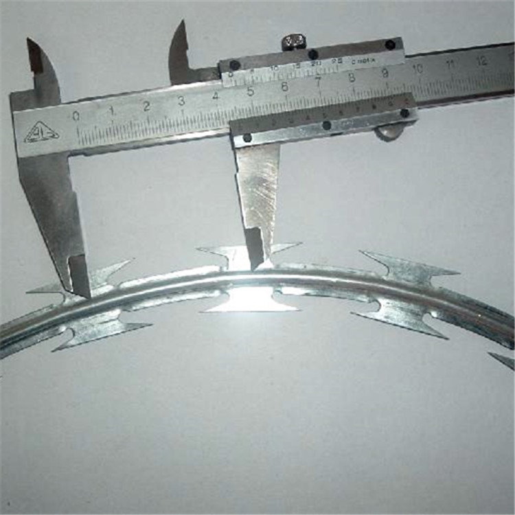 刀刺網案例展示圖片4 刀刺網案例展示圖片4