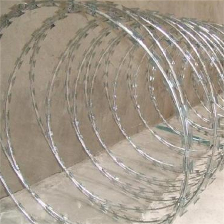 螺旋刀刺網案例展示圖片3 螺旋刀刺網案例展示圖片3